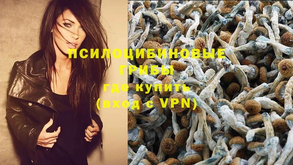 скорость Рославль