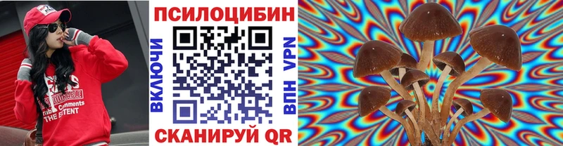 хочу наркоту  Сосенский  Псилоцибиновые грибы ЛСД 