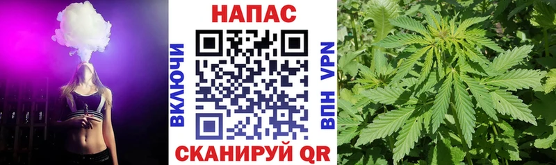 МЕГА как войти  Сосенский  сайты даркнета Telegram  Бошки Шишки AK-47 